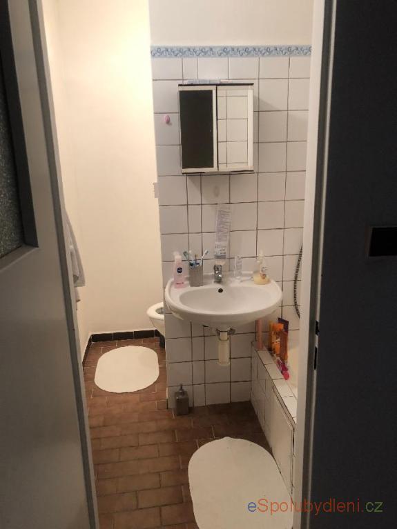 Nabídky byt Plzeň, , 7.500Kč/měsíc