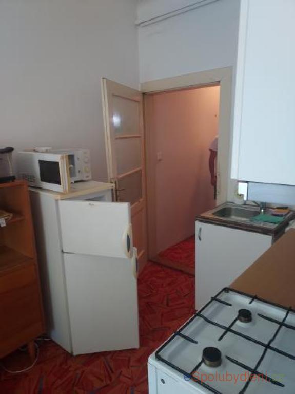 Nabízím místo/pokoj Brno střed, , 6.000Kč/měsíc/(osobu)