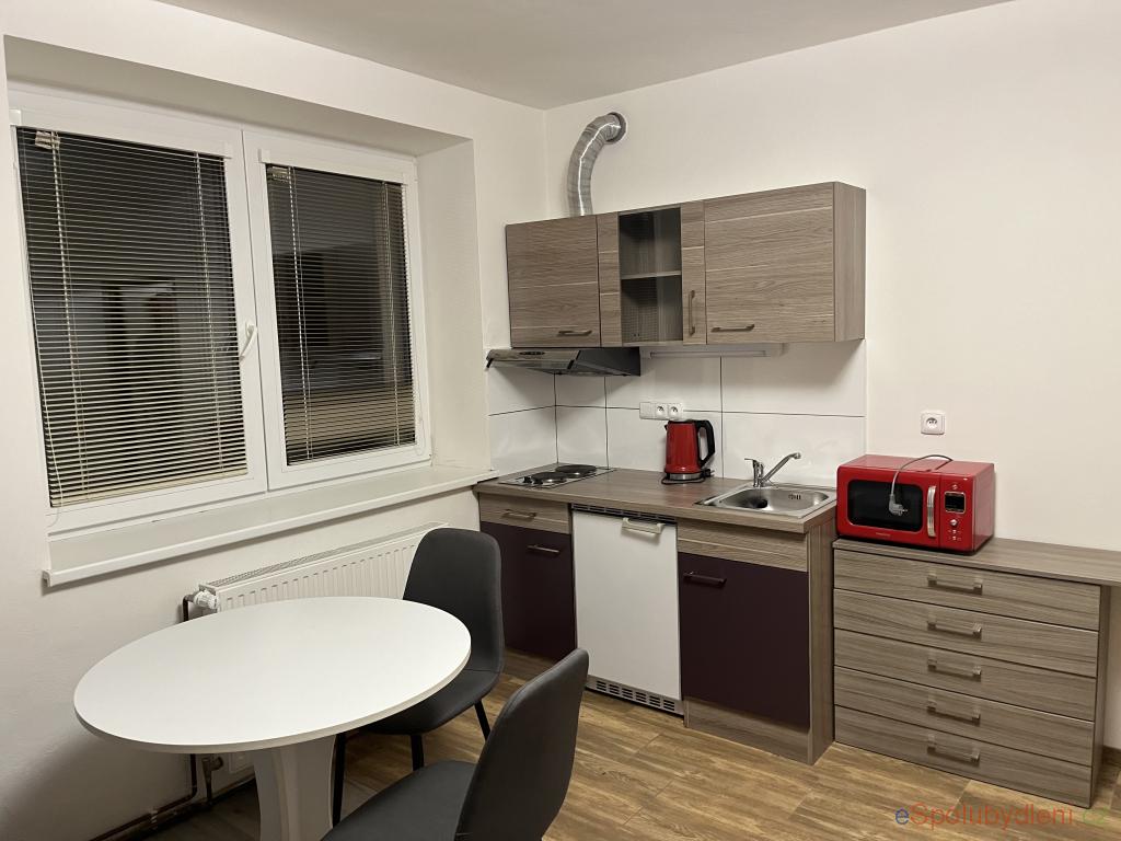 Nabídky byt Černovír, , 12.000Kč/měsíc