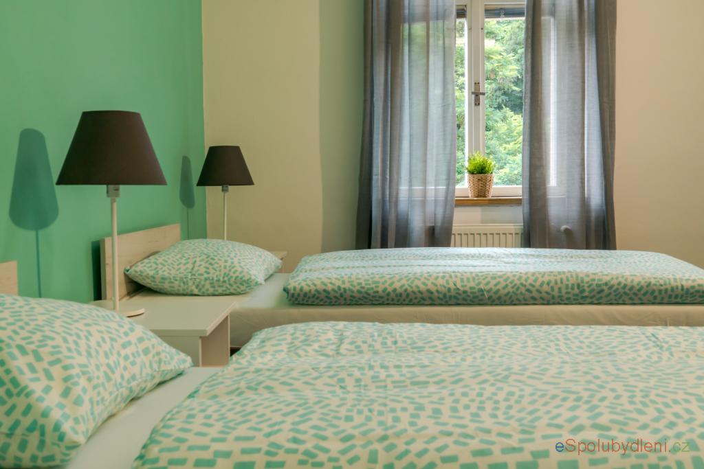 Nabízím místo/pokoj Nusle, , 9.600Kč/měsíc/(osobu)