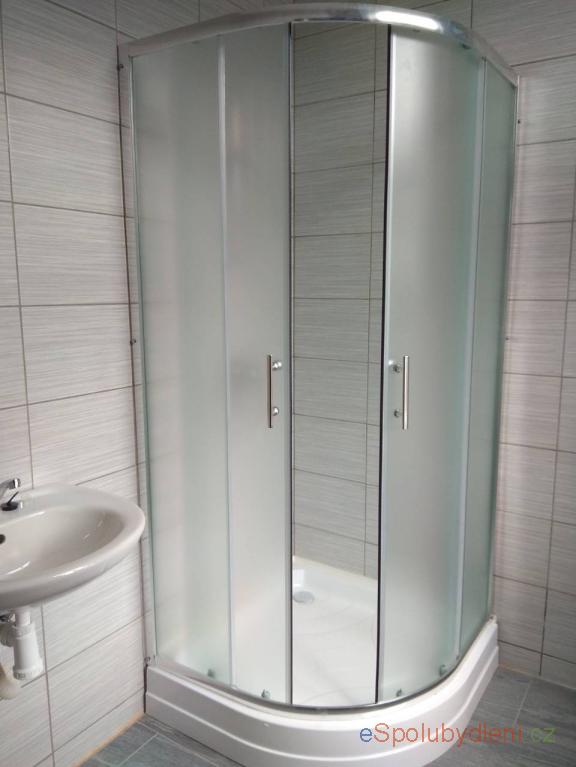 Nabízím místo/pokoj Nusle, , 9.600Kč/měsíc/(osobu)