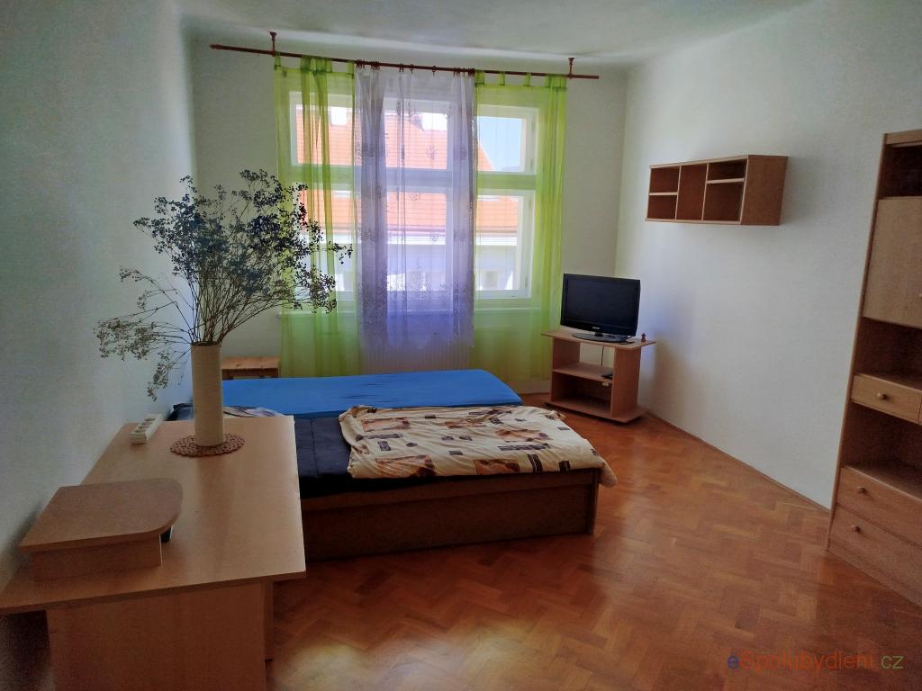Nabízím místo/pokoj Holešovice, , 3.000Kč/měsíc/(osobu)