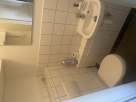 Nabízím Spolubydlení Holešovice